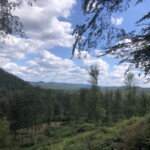 Wandern im Elsass Wandern im Elsass