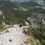 Da kommen sie Da kommen sie