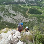 Da kommen sie Da kommen sie