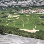 Schönste Platte... Schönste Platte...