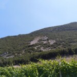 Blick auf die Platten