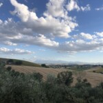 Landschaft bei Montecassiano Landschaft bei Montecassiano