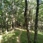 Wanderweg in den Sibillini Wanderweg in den Sibillini