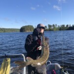 Manchmal wollen sie nicht so ganz...