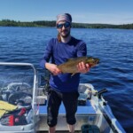 Es gibt auch im Juni Forellen!