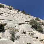 Interessante... Platten