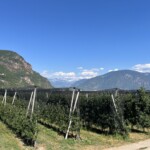 Richtung Bozen & Dolomiten von der Etsch