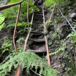 Vertrauenswürdige Leiter