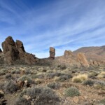 Am flieht nach oben vor dem Regen