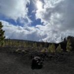 Ein faszinierendes Bild