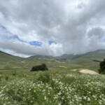 Piani di Castelluccio