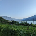 Blick vom Kalterer See