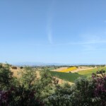 In den Marken - Ausblick