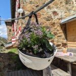 Schicke Blumentöpfe