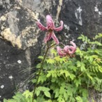 Ich muss nochmal nachschauen :D