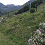 Nach den Mäharbeiten