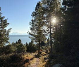 Traumhafte Ansichten