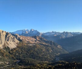 Mit ersten gelben Lärchen...