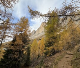 Herbstausblick auf den Rosengarten