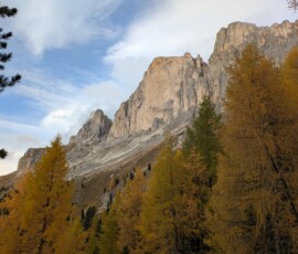 Herbstausblick auf den Rosengarten